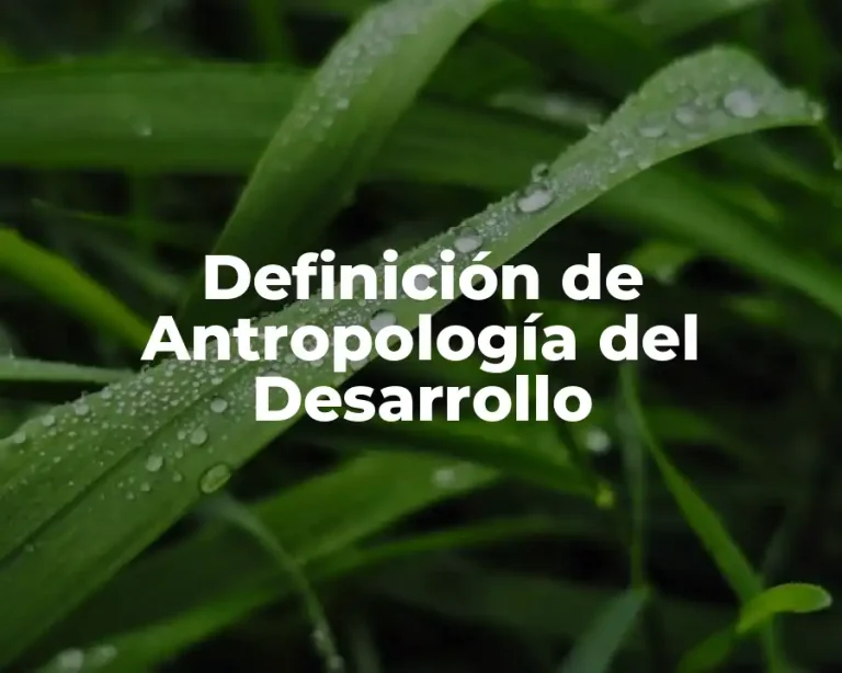 Definición de Antropología del Desarrollo