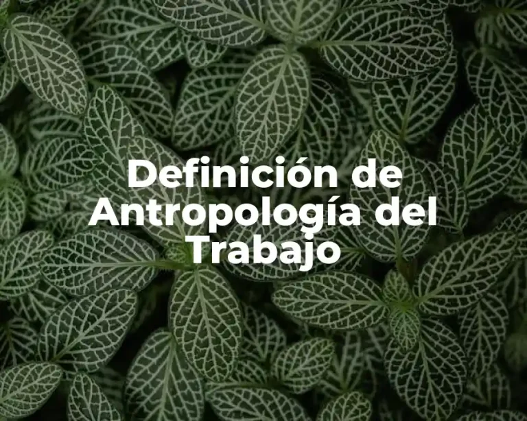 Definición de Antropología del Trabajo