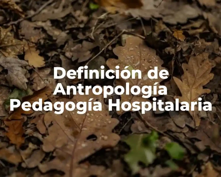 Definición de Antropología Pedagogía Hospitalaria