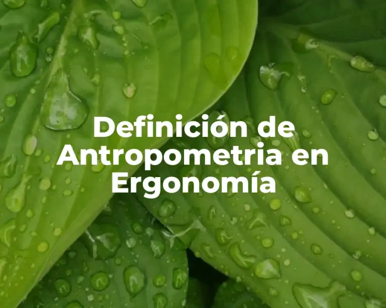 Definición de Antropometria en Ergonomía