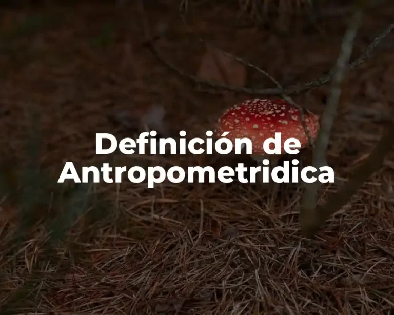 Definición de Antropometridica