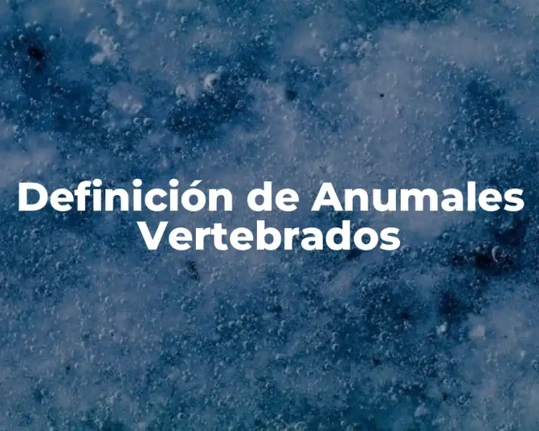 Definición de Anumales Vertebrados
