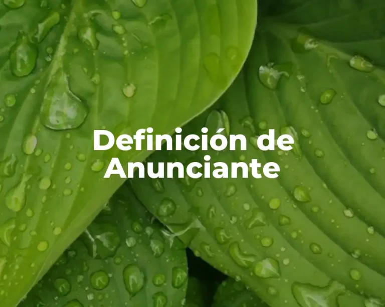 Definición de Anunciante