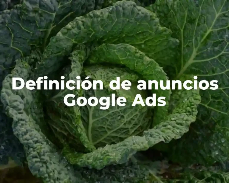 Definición de anuncios Google Ads