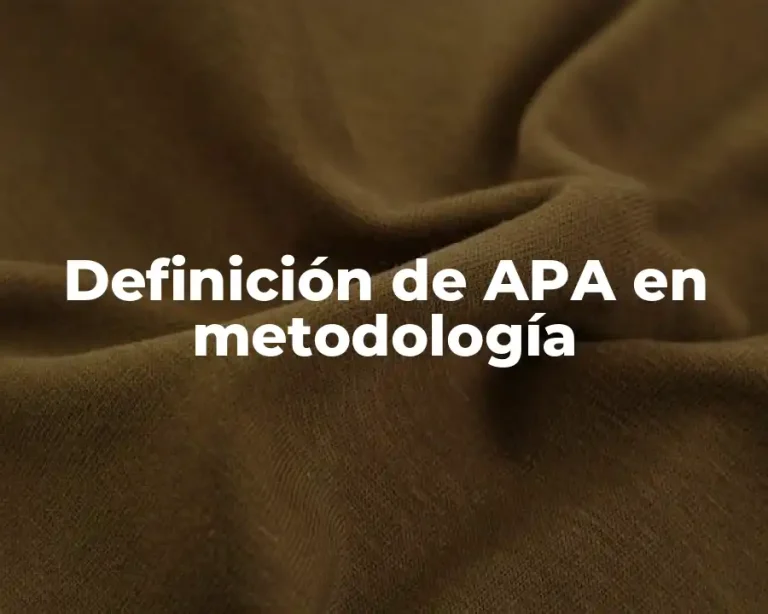 Definición de APA en metodología