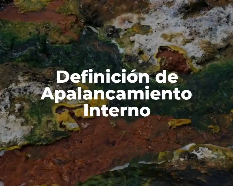 Definición de Apalancamiento Interno