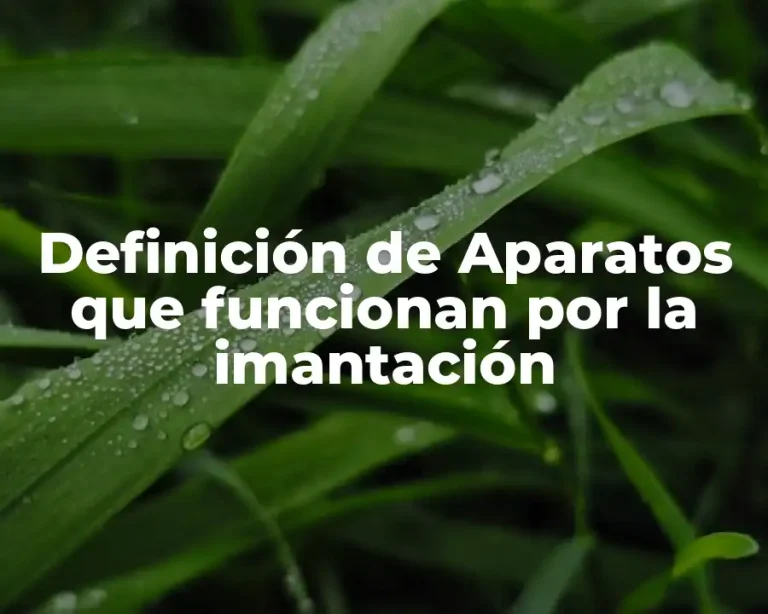 Definición de Aparatos que funcionan por la imantación