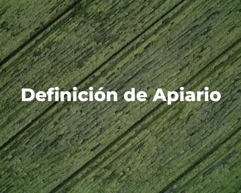 Definición de Apiario