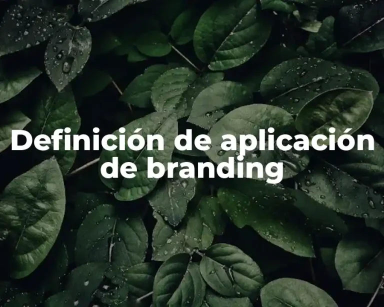 Definición de aplicación de branding