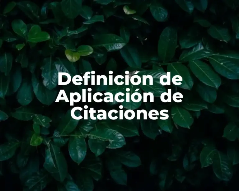 Definición de Aplicación de Citaciones