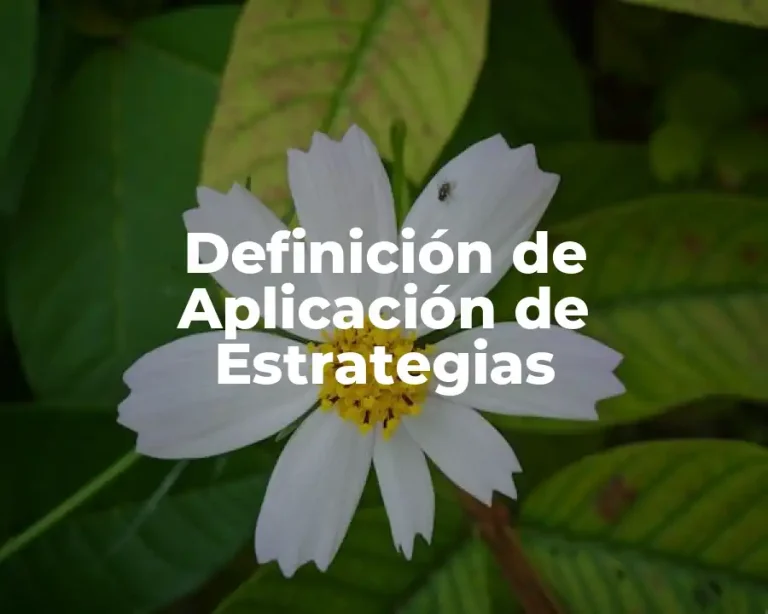 Definición de Aplicación de Estrategias