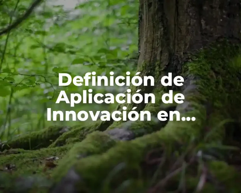 Definición de Aplicación de Innovación en Tecnología