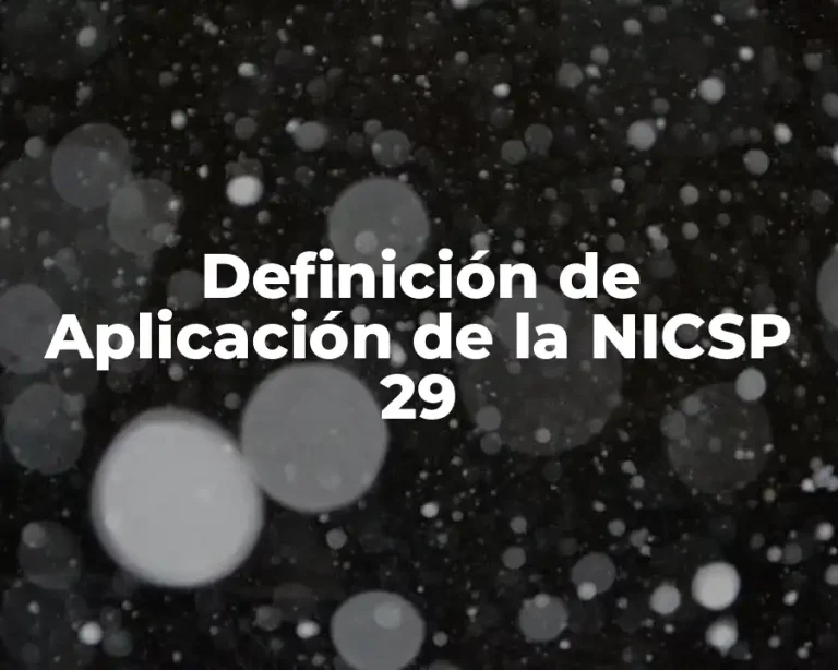 Definición de Aplicación de la NICSP 29