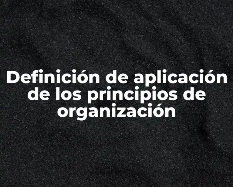 Definición de aplicación de los principios de organización