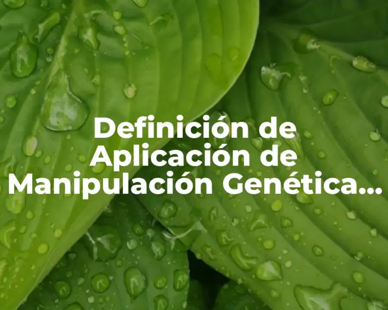 Definición de Aplicación de Manipulación Genética Año Ventajas y Desventajas