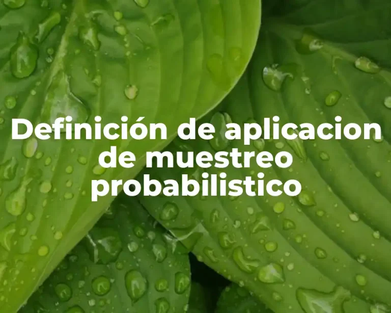 Definición de aplicacion de muestreo probabilistico