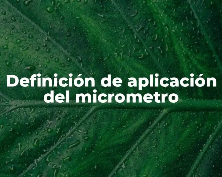 Definición de aplicación del micrometro