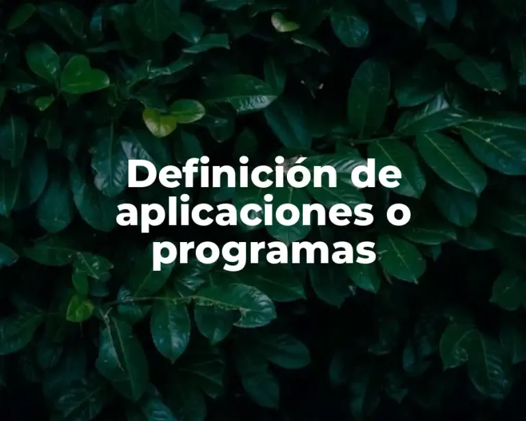 Definición de aplicaciones o programas