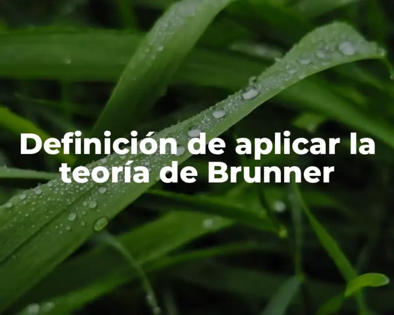 Definición de aplicar la teoría de Brunner