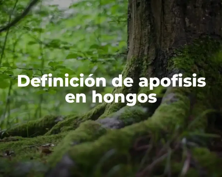 Definición de apofisis en hongos