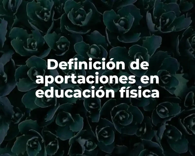 Definición de aportaciones en educación física