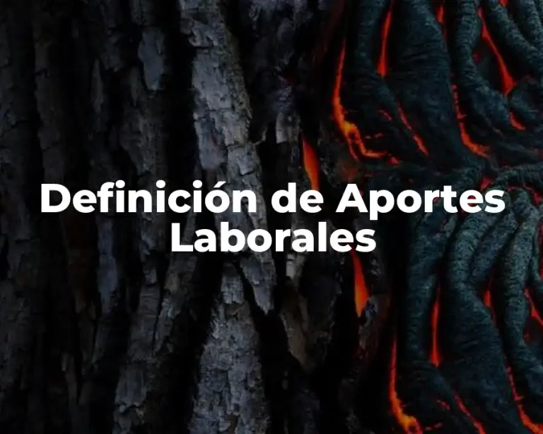 Definición de Aportes Laborales