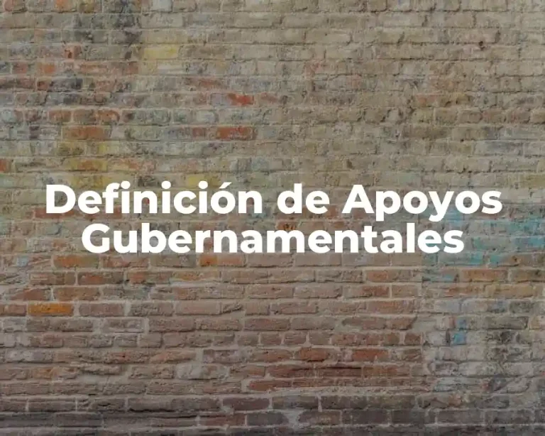Definición de Apoyos Gubernamentales