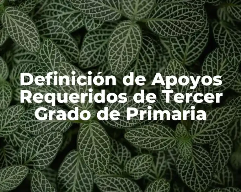 Definición de Apoyos Requeridos de Tercer Grado de Primaria