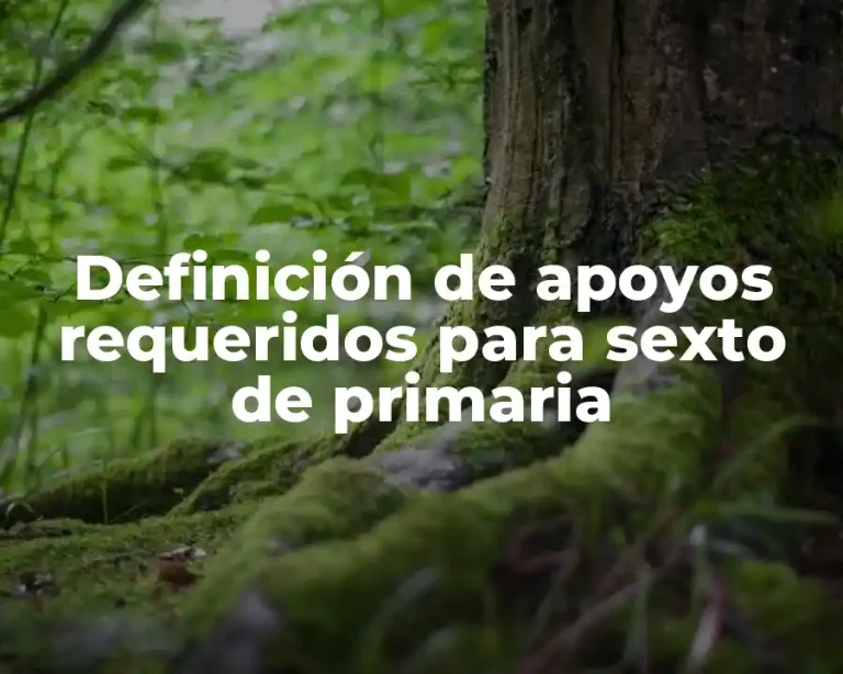 Definición de apoyos requeridos para sexto de primaria