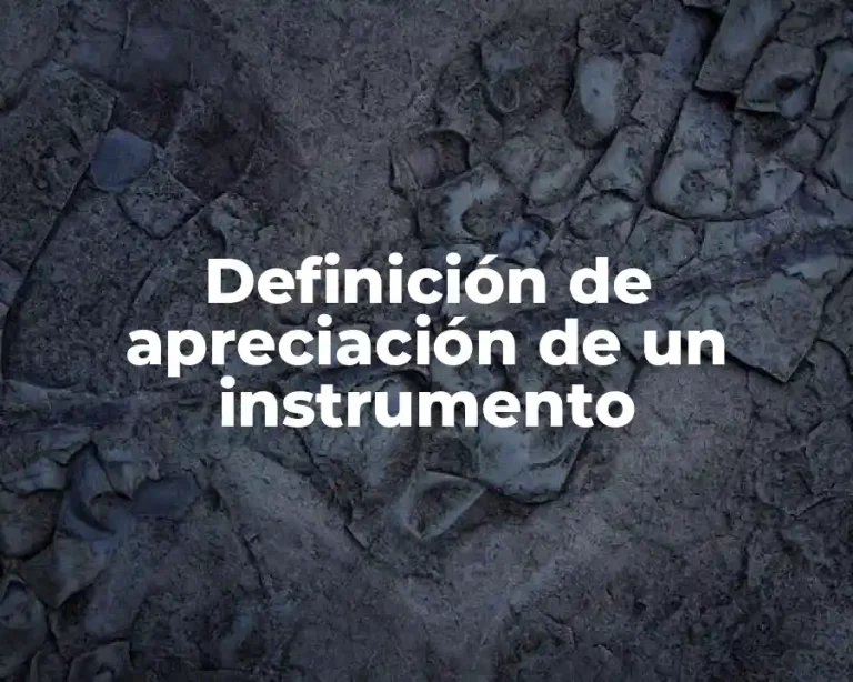 Definición de apreciación de un instrumento