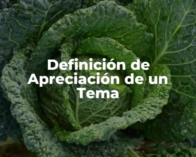 Definición de Apreciación de un Tema