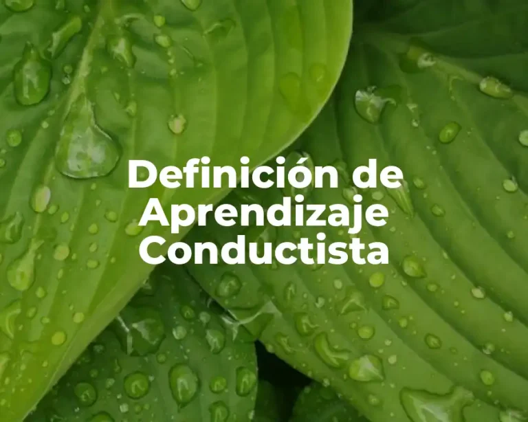 Definición de Aprendizaje Conductista