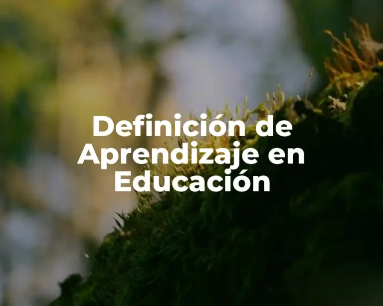 Definición de Aprendizaje en Educación