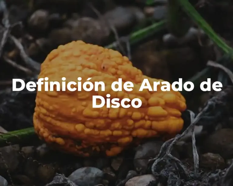 Definición de Arado de Disco