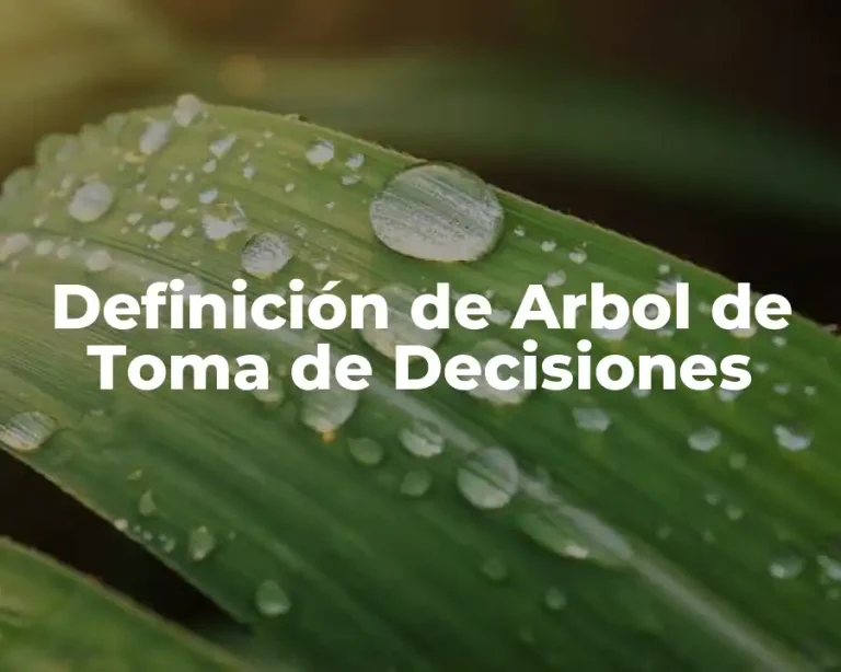 Definición de Arbol de Toma de Decisiones
