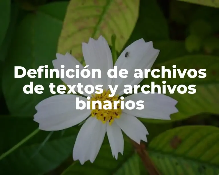 Definición de archivos de textos y archivos binarios