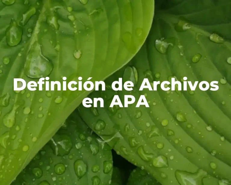 Definición de Archivos en APA