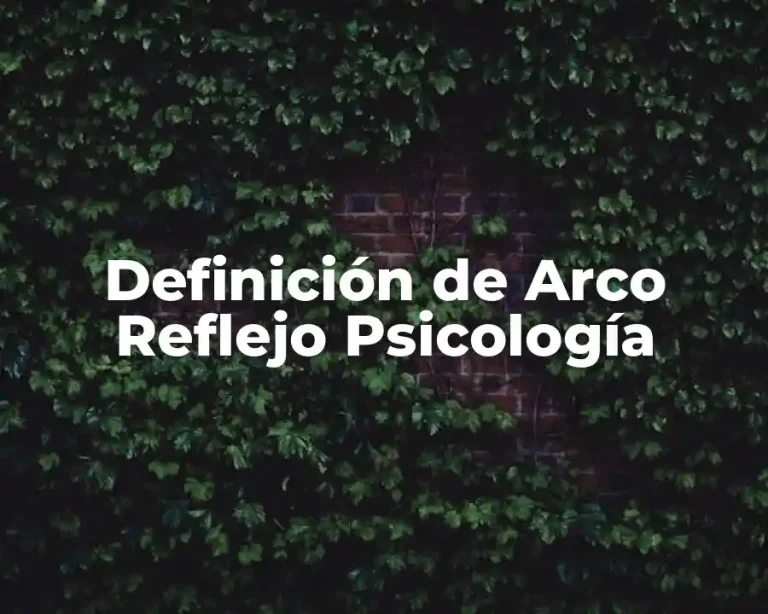 Definición de Arco Reflejo Psicología