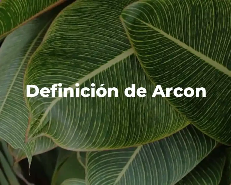 Definición de Arcon