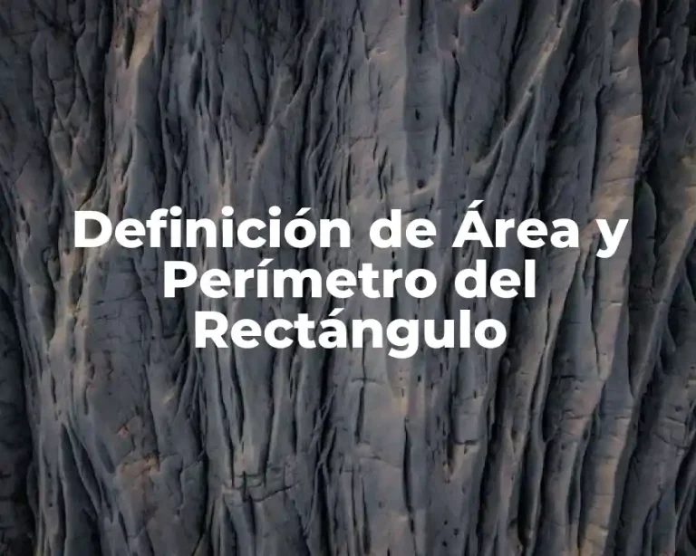 Definición de Área y Perímetro del Rectángulo