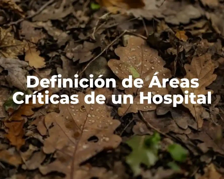 Definición de Áreas Críticas de un Hospital