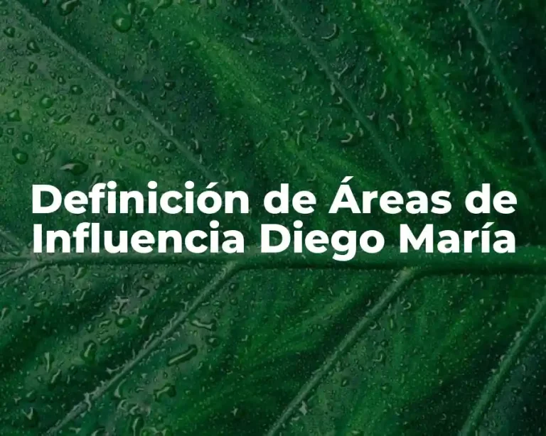 Definición de Áreas de Influencia Diego María