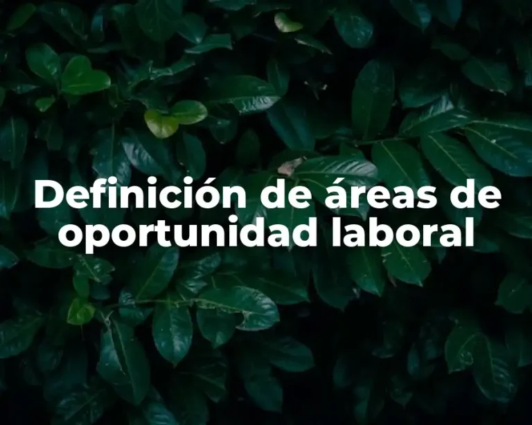 Definición de áreas de oportunidad laboral