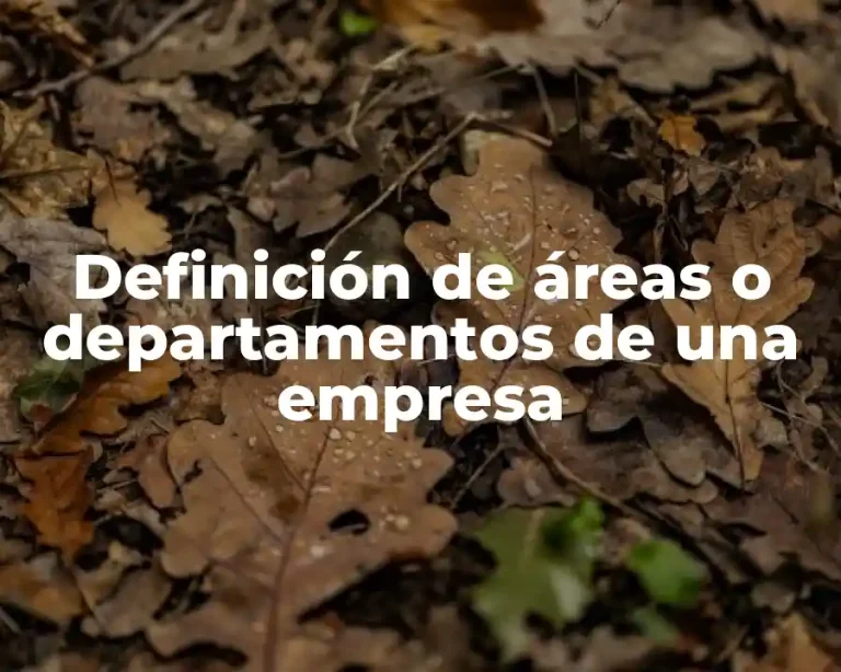 Definición de áreas o departamentos de una empresa
