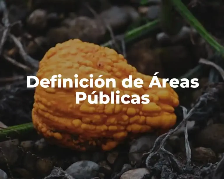 Definición de Áreas Públicas