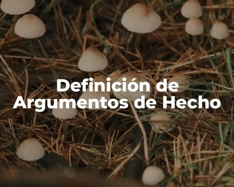 Definición de Argumentos de Hecho