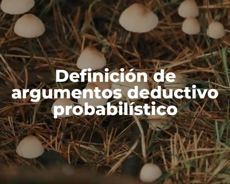 Definición de argumentos deductivo probabilístico