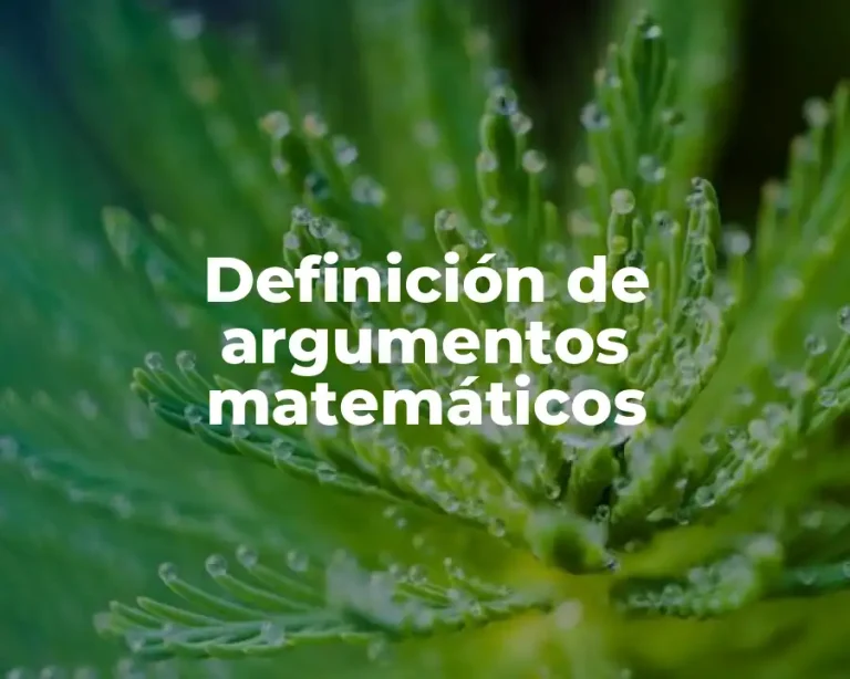 Definición de argumentos matemáticos