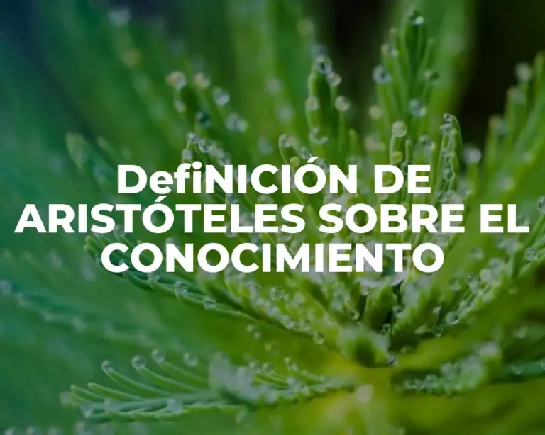 DefiNICIÓN DE ARISTÓTELES SOBRE EL CONOCIMIENTO