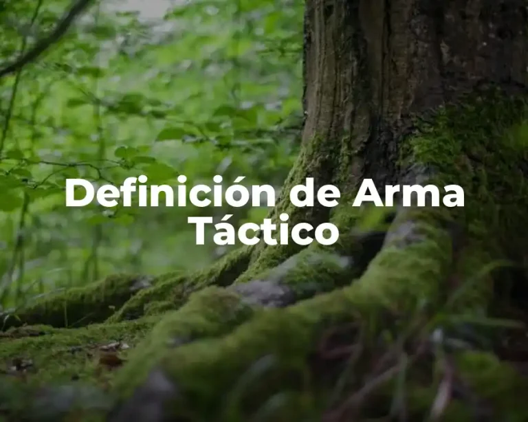 Definición de Arma Táctico